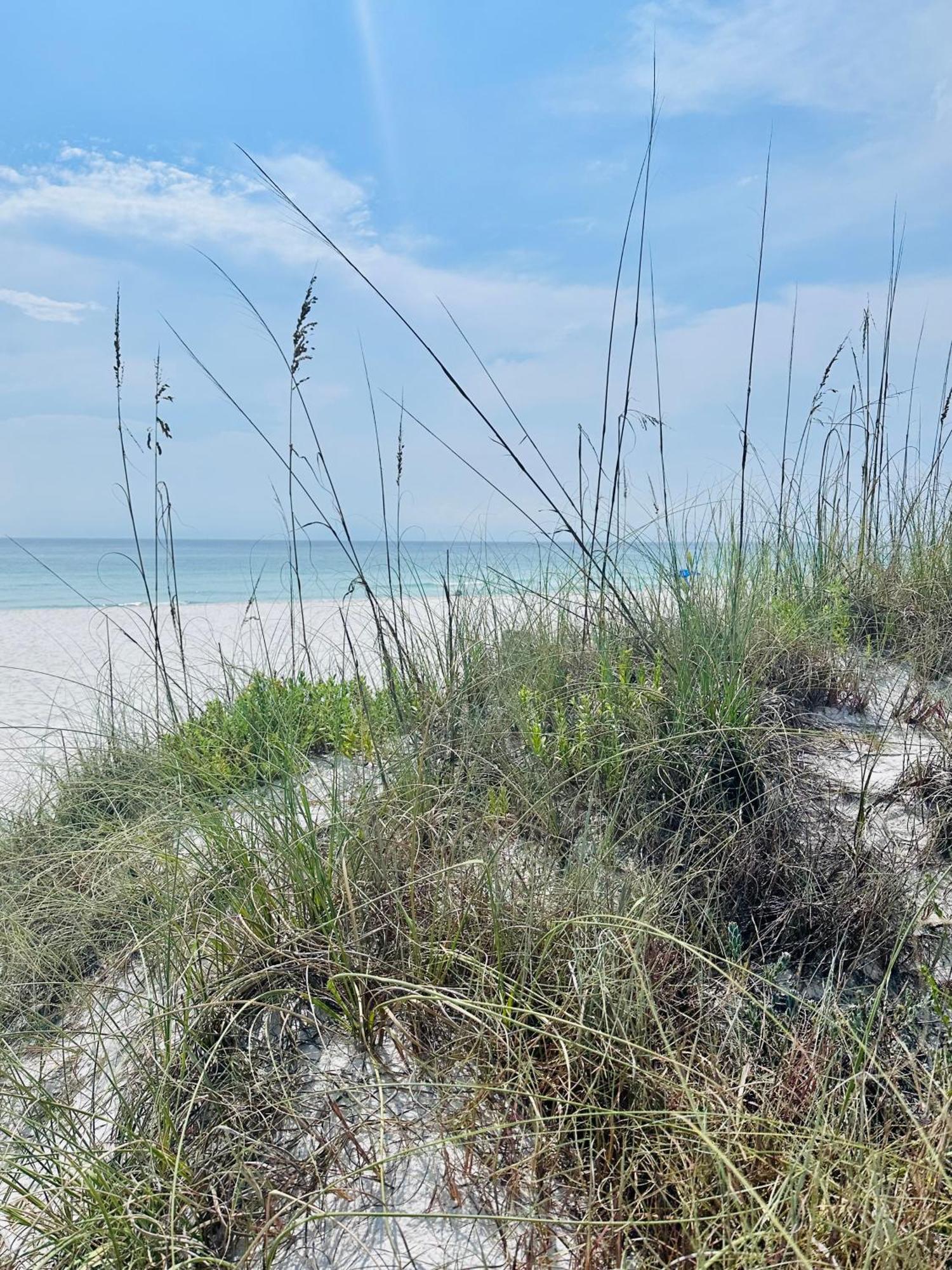 Sea Salt Vacation Home, Private Pool - Walk To Beach Panama City Beach Eksteriør bilde